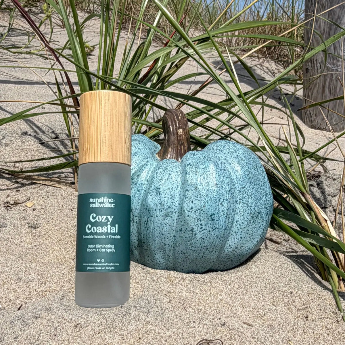 Coastal Fall Room Spray 