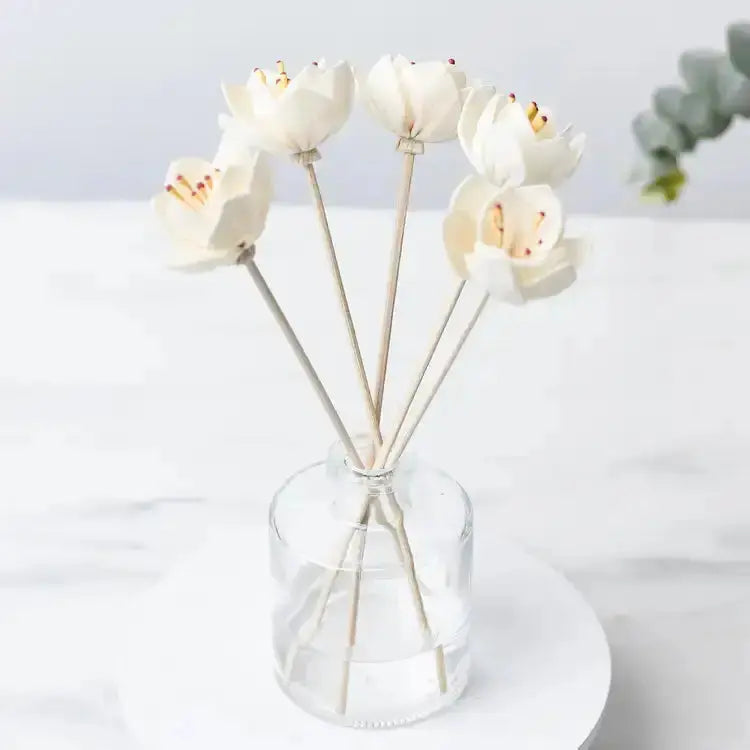 Sea Blossom | Diffuser Reeds Sunshine + Saltwater